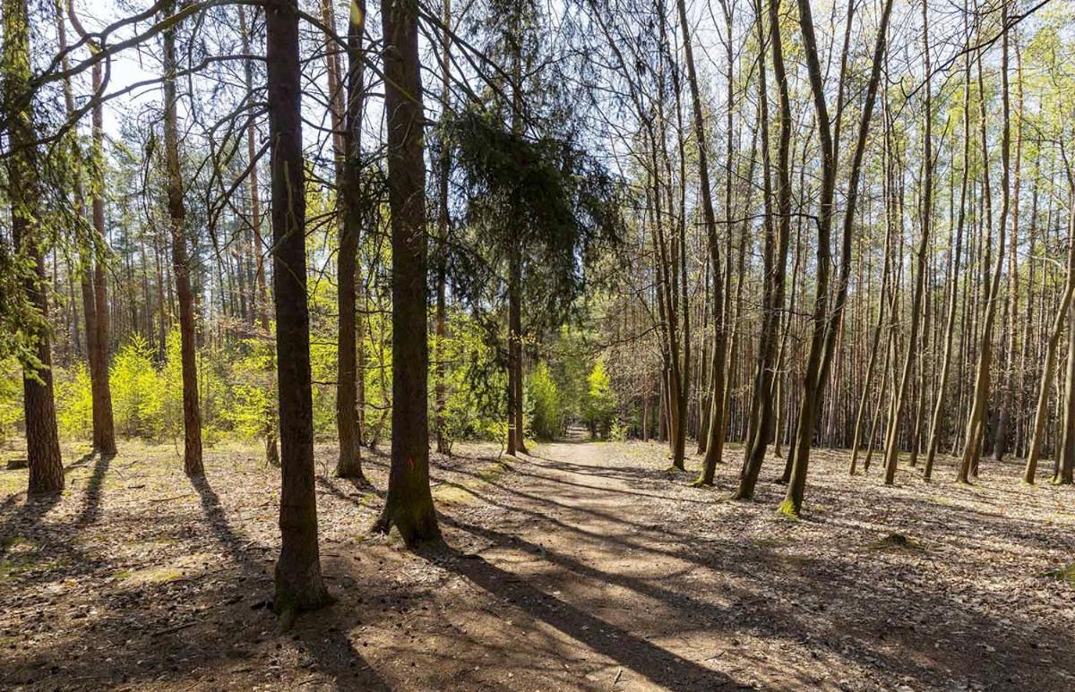 Laskara Garden Apartment By Prague Forest Nove Jirny Ngoại thất bức ảnh